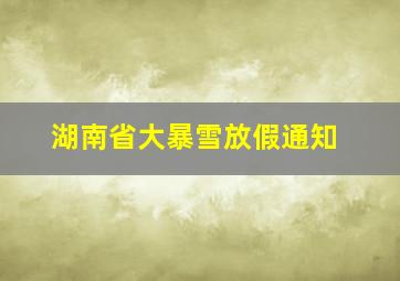 湖南省大暴雪放假通知