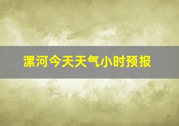 漯河今天天气小时预报