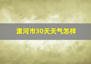 漯河市30天天气怎样