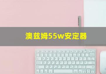 澳兹姆55w安定器