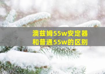 澳兹姆55w安定器和普通55w的区别