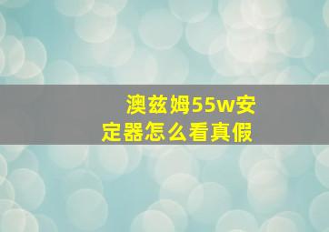 澳兹姆55w安定器怎么看真假