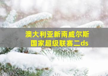 澳大利亚新南威尔斯国家超级联赛二ds