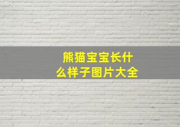 熊猫宝宝长什么样子图片大全