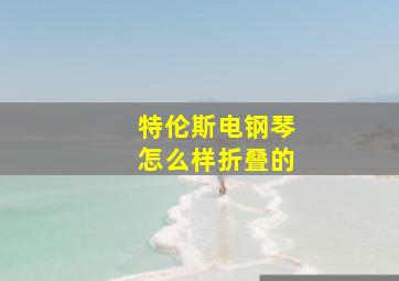 特伦斯电钢琴怎么样折叠的