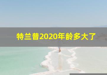 特兰普2020年龄多大了