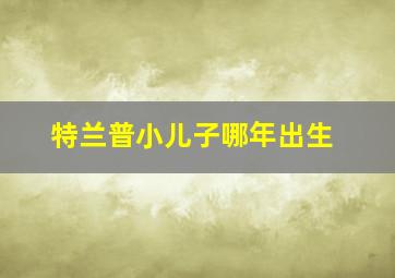 特兰普小儿子哪年出生