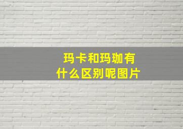 玛卡和玛珈有什么区别呢图片