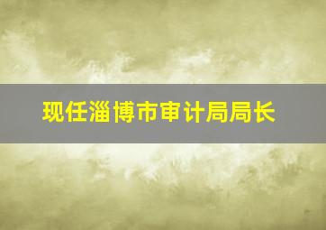 现任淄博市审计局局长