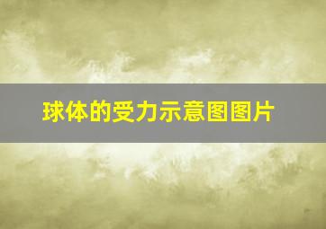 球体的受力示意图图片