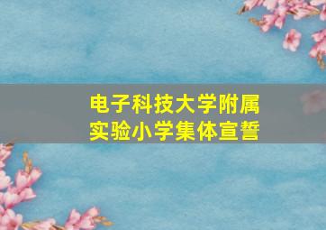 电子科技大学附属实验小学集体宣誓