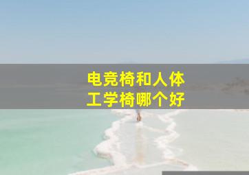 电竞椅和人体工学椅哪个好