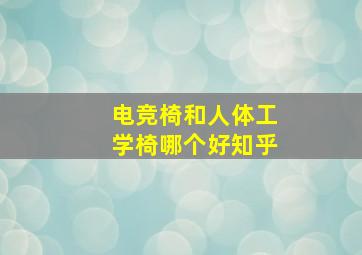 电竞椅和人体工学椅哪个好知乎