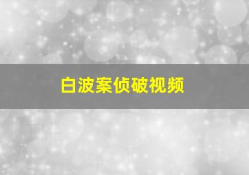 白波案侦破视频