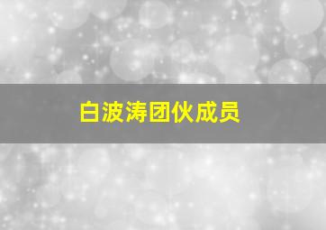 白波涛团伙成员