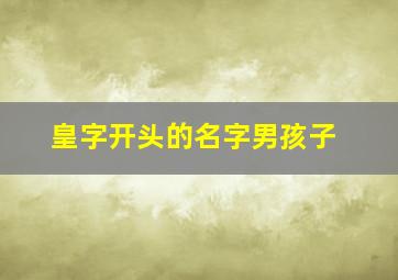 皇字开头的名字男孩子