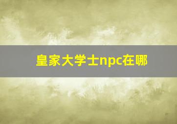 皇家大学士npc在哪