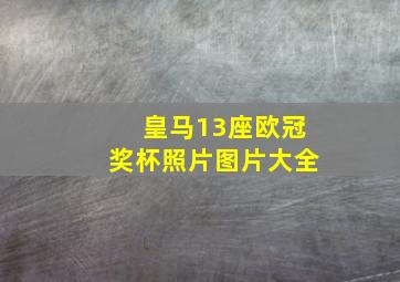 皇马13座欧冠奖杯照片图片大全