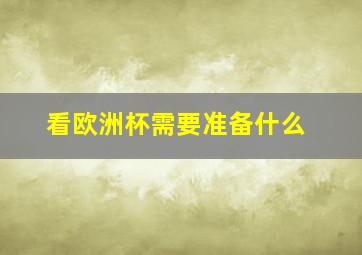 看欧洲杯需要准备什么