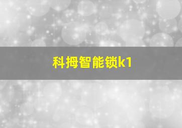 科拇智能锁k1