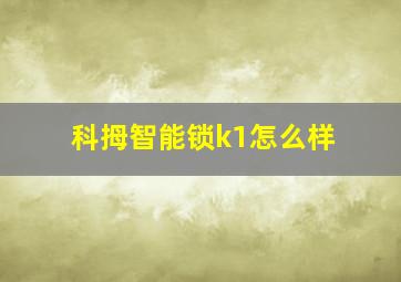 科拇智能锁k1怎么样