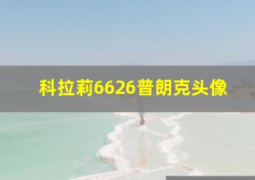 科拉莉6626普朗克头像