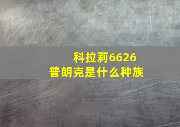 科拉莉6626普朗克是什么种族