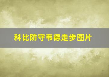 科比防守韦德走步图片