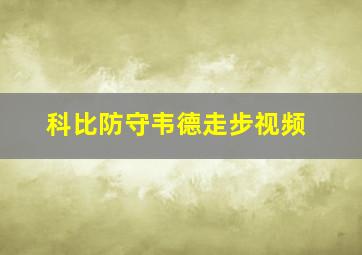 科比防守韦德走步视频