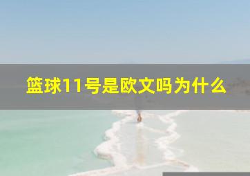 篮球11号是欧文吗为什么