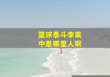 篮球泰斗李震中是哪里人啊