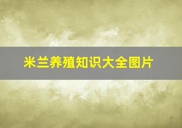 米兰养殖知识大全图片