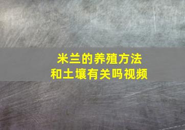 米兰的养殖方法和土壤有关吗视频