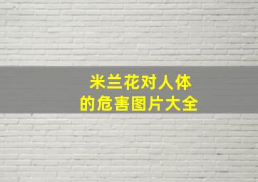 米兰花对人体的危害图片大全