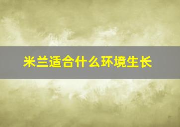 米兰适合什么环境生长