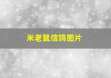 米老鼠信鸽图片