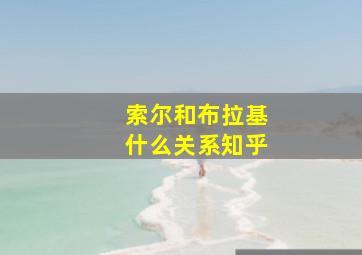 索尔和布拉基什么关系知乎