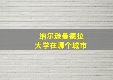 纳尔逊曼德拉大学在哪个城市