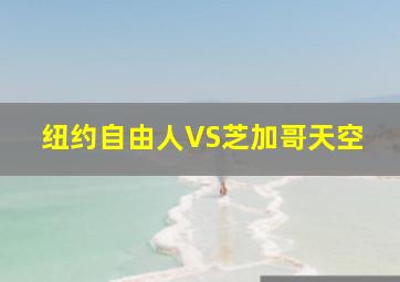 纽约自由人VS芝加哥天空