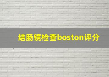 结肠镜检查boston评分