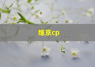 维京cp