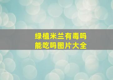 绿植米兰有毒吗能吃吗图片大全