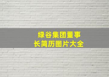 绿谷集团董事长简历图片大全