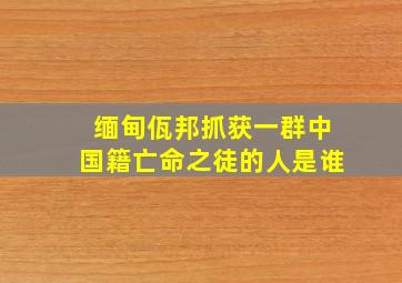 缅甸佤邦抓获一群中国籍亡命之徒的人是谁