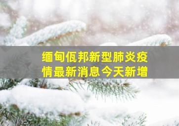 缅甸佤邦新型肺炎疫情最新消息今天新增