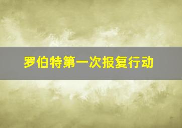 罗伯特第一次报复行动