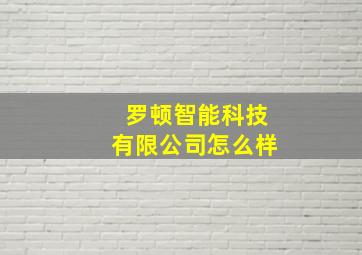 罗顿智能科技有限公司怎么样