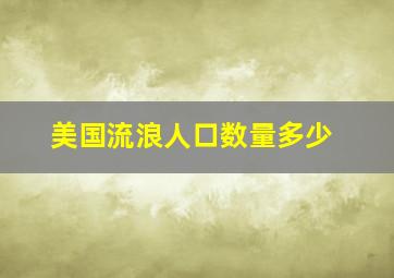 美国流浪人口数量多少