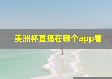 美洲杯直播在哪个app看