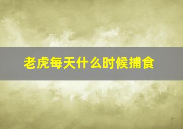 老虎每天什么时候捕食